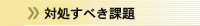 対処すべき課題